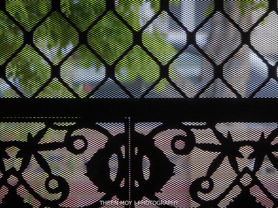 featured image - 3 Essential Tips for Choosing a Mesh Screen Door