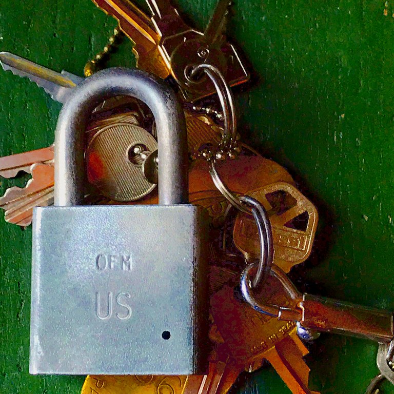 image - Facts you Didn't Know About Locks & Keys