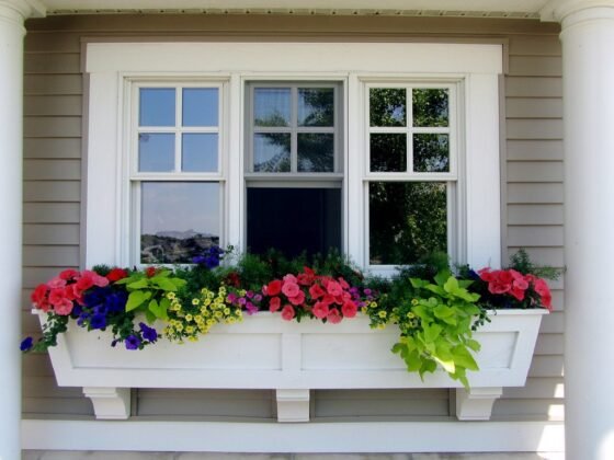 featured image - Windows for your Wonderful Home: What are your Top Preferences?