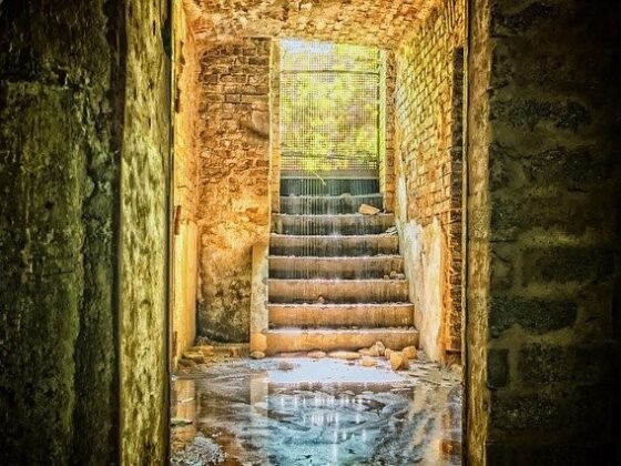 featured image - The Importance of Waterproofing Your Basement