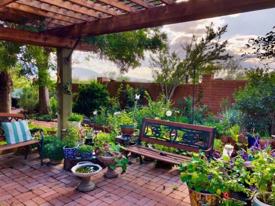 featured image - 5 Backyard Improvements That Add Value to Your Home