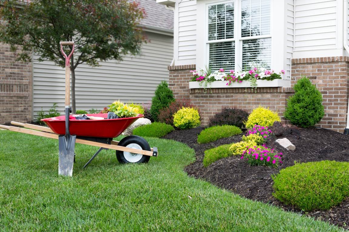 Touch Up Mulch Touch Up Mulch