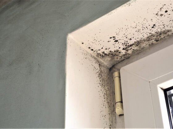 featured image - Three Reasons You Have Condensation in Your Home