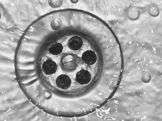 featured image - Easy Tips to Unclog Your Drains