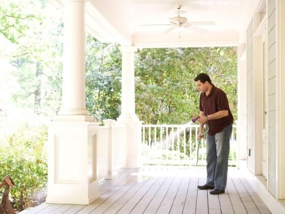 featured image - Home Renovation – When is the Right Time to Hire a Pest Control Expert?