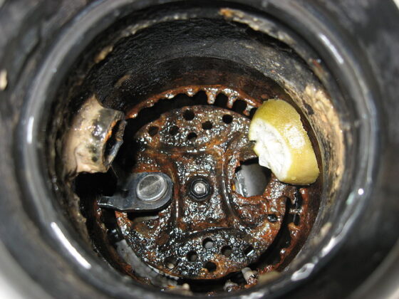 featured image - How to Fix a Broken Garbage Disposal in Your Home