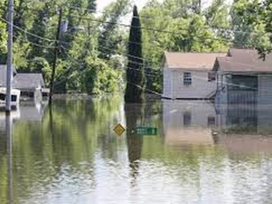 featured image - How to Prepare for a Flood