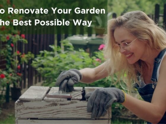 featured image - How to Renovate your Garden in the Best Possible Way
