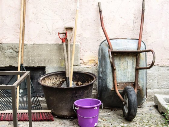 featured image - The Brief and Only Gardening Tools Checklist You’ll Ever Need