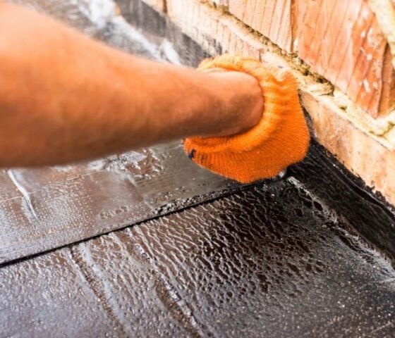 featured image - What is Crawlspace Waterproofing in Champaign and Why is it Needed? | A Homeowner’s Guide