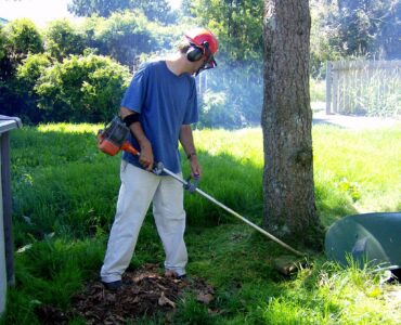 featured image - What is the Easiest Weed Eater to Use Finding the Right Model
