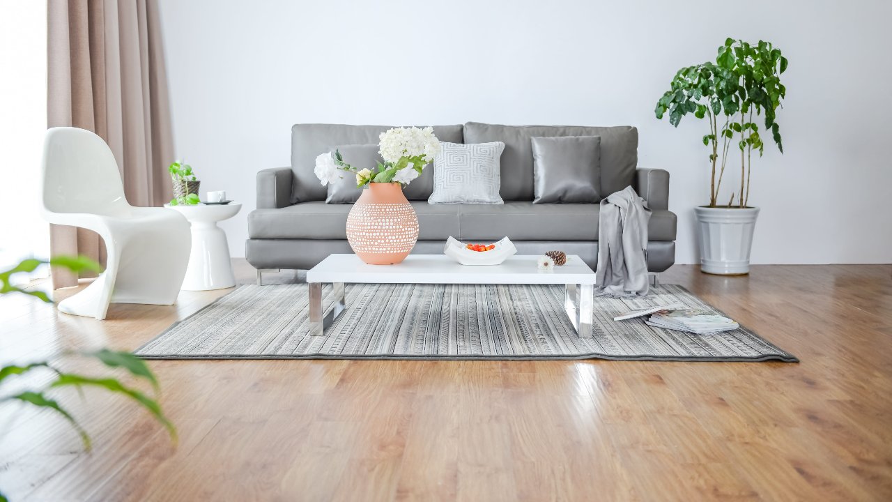 5 Indoor Plants to Add Color and Life to Your Living Room image - 5 Indoor Plants to Add Color and Life to Your Living Room