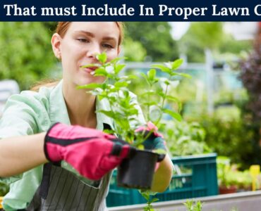 featured image - 5 Things That must Include in Proper Lawn Care Plan