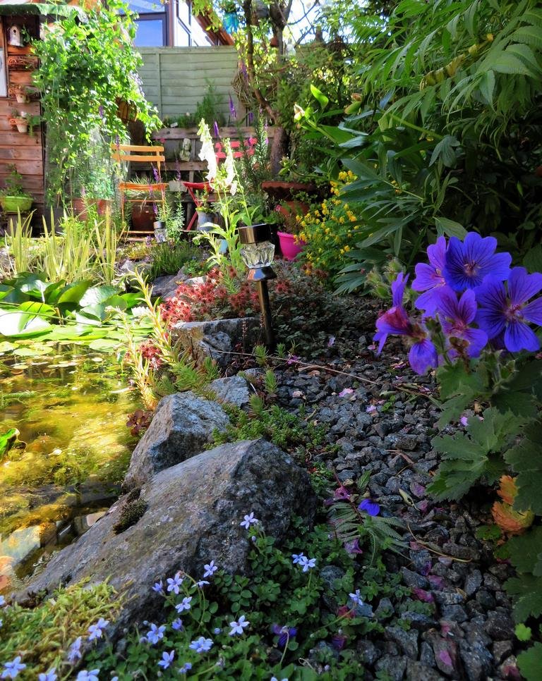 Tiny Garden Solutions for Bees and Butterflies image - Tiny Garden Solutions for Bees and Butterflies