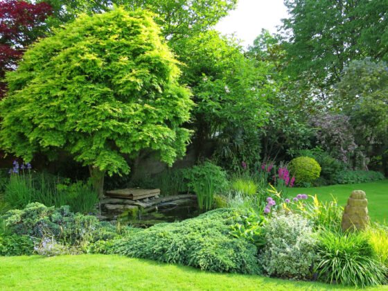 featured image - 6 Steps for Building an Eco-Friendly Lawn