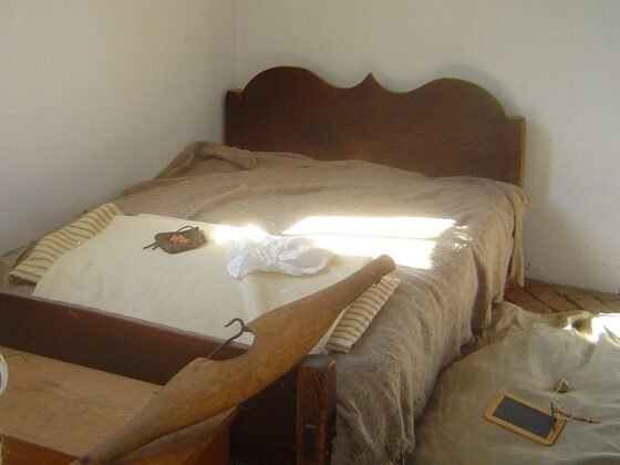 featured image - How To Prevent Bed Bugs from Spreading to Other Rooms