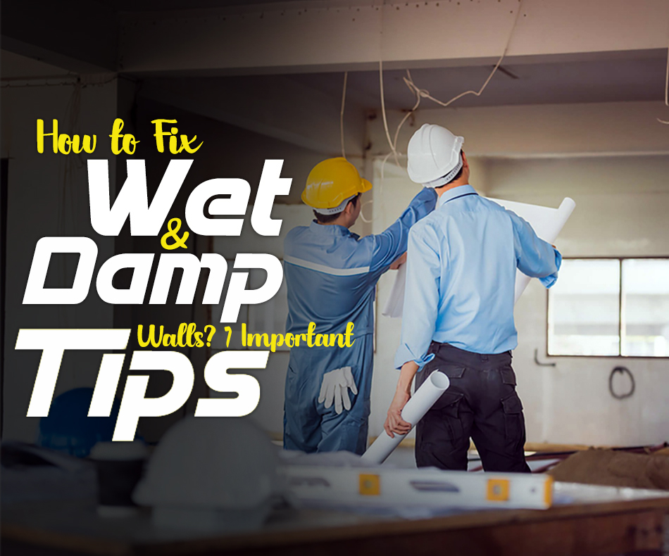 featured image - How to Fix Wet and Damp Walls 7 Important Tips