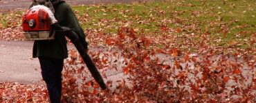 featured image - How to Use a Leaf Blower 7 Landscaping Tips