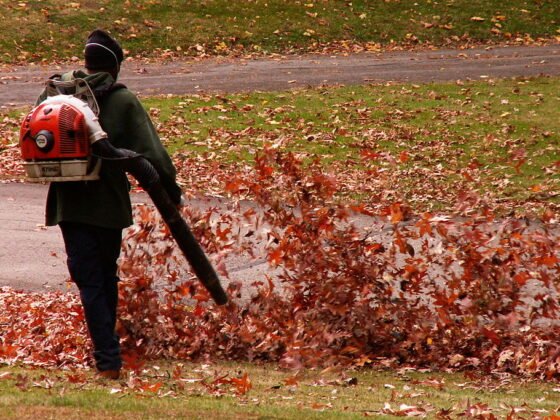 featured image - How to Use a Leaf Blower 7 Landscaping Tips