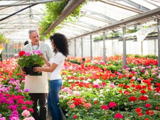 featured image - Plant Delivery and Choosing the Best for Your Home