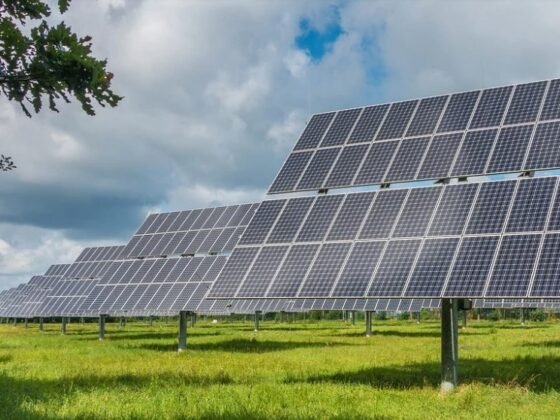 featured image - Should You Invest in a Solar Flood Light?