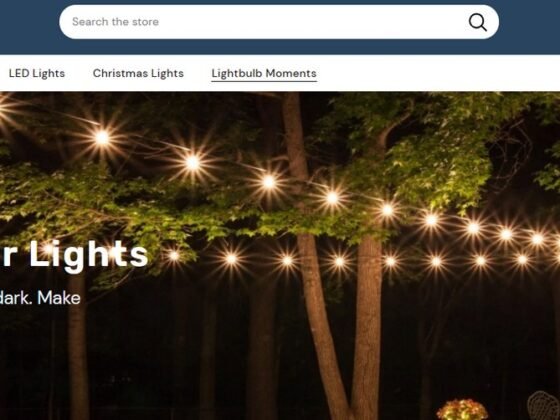 featured image - The Ultimate Guide to an Outdoor Christmas Lights Display
