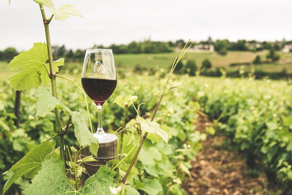 Here’s Where You Buy French Properties for Running a Vineyard image - Here’s Where You Buy French Properties for Running a Vineyard