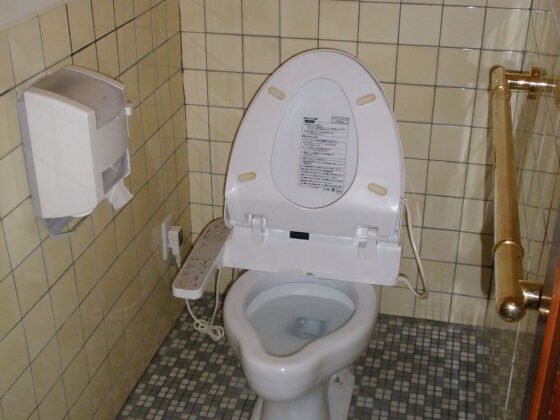 featured image - 5 Reasons Why Maceration Toilets are Great