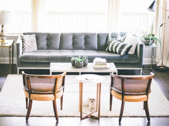 featured image - 5 Things to Consider Before Buying a Sofa