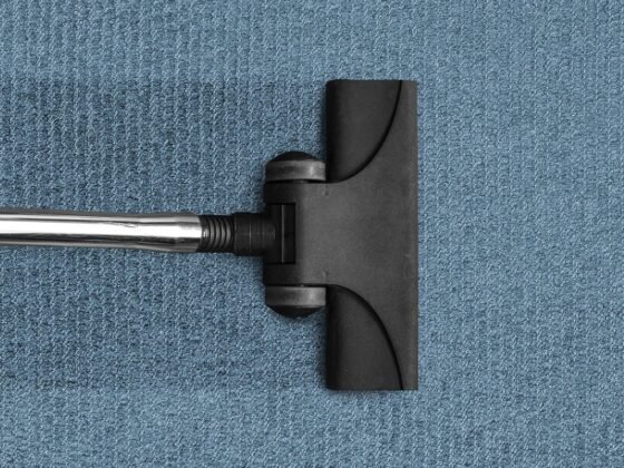 featured image - 5 Ways to Clean and Maintain Your Carpets [Experts Guide]