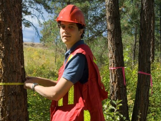 featured image - A Homeowner’s Guide to Understanding an Arborist Report