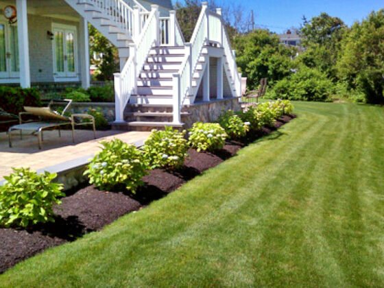 featured image - How to Choose Lawn Care Services Everything You Need to Know