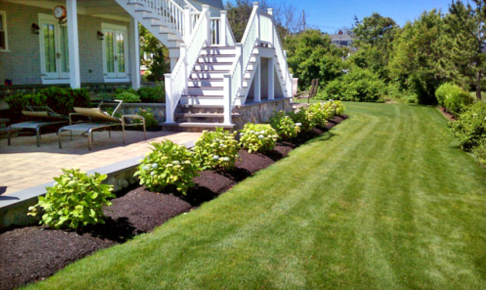 featured image - How to Choose Lawn Care Services Everything You Need to Know