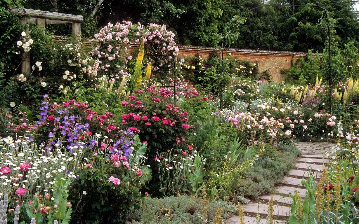 featured image - How to Choose the Best Flowers for Your Garden? Step-by-Step Guide