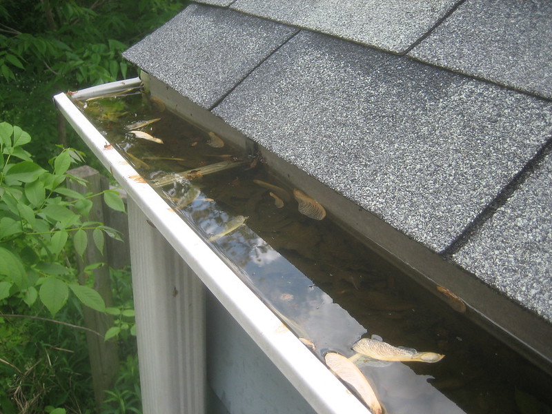 featured image - How to Clean Your Roof at Home like An Expert