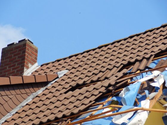 featured image - How to Tell if High Winds Damaged Your Roof