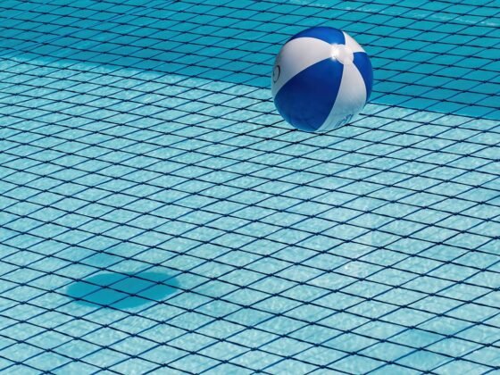 featured image - Is a Pool Net Safe for My Pet