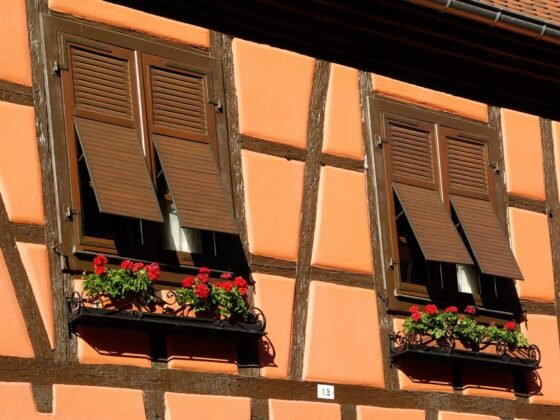 featured image - Tips to Find a Stud in A House