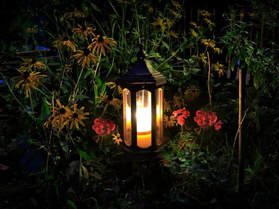 featured image - Top Benefits of Using LED Lantern Lights