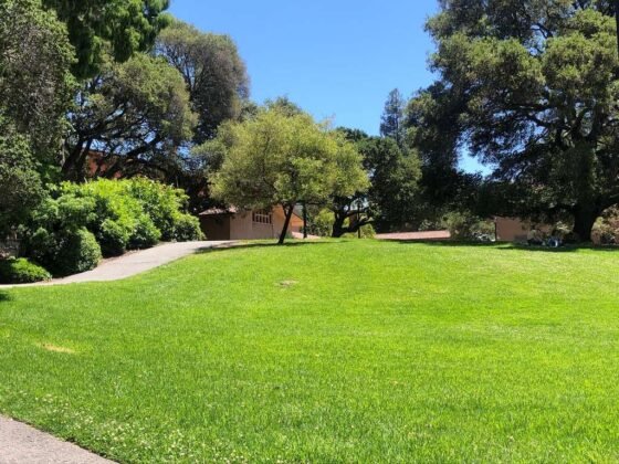 featured image - 4 Questions to Ask Before Hiring a Commercial Grounds Maintenance Company