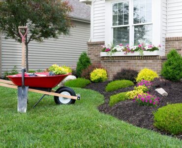 featured image - 6 Affordable Landscaping Ideas to Refresh Your Yard