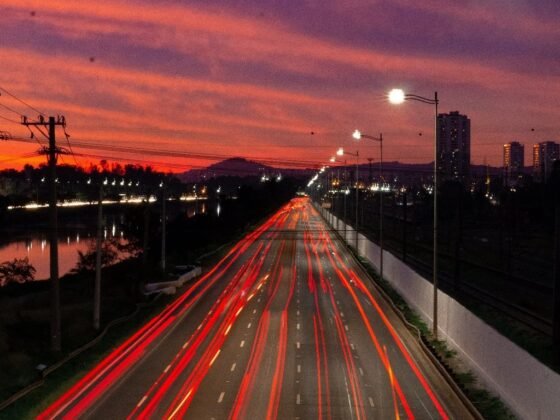 featured image - 6 Ideas for Making Your Urban Home More Nature-Friendly