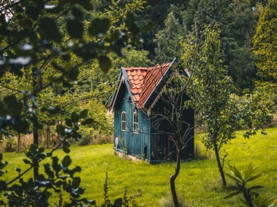 featured image - 8 Things You Don’t Know About Tiny Houses and Mobile Homes