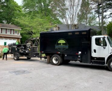 featured image - Advantages Of Hiring Tree Removal Services