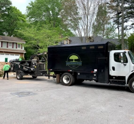 Advantages Of Hiring Tree Removal Services
