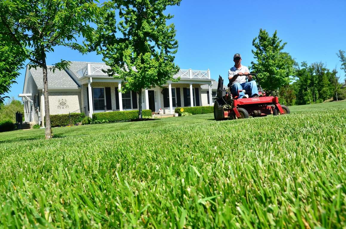 featured image - Best Ways to Find a Lawn Care Professional Service Provider