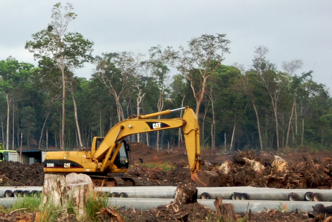 featured image - Essential Facts About Land Clearing You Should Be Aware Of