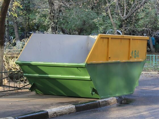 featured image - How to Choose the Right Bin Hire Company?