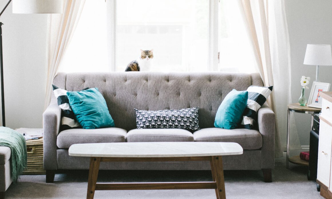 featured image - Learn How to Arrange Pillows on a Couch with These Tips