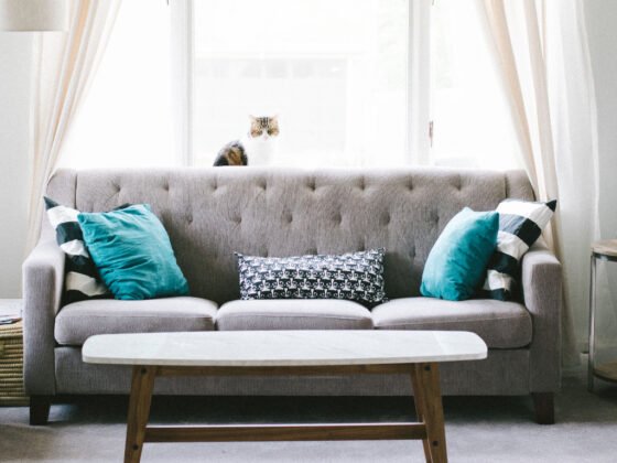 featured image - Learn How to Arrange Pillows on a Couch with These Tips